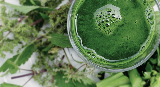 The Diet and Probiotic Combo That Could Transform IBS Relief